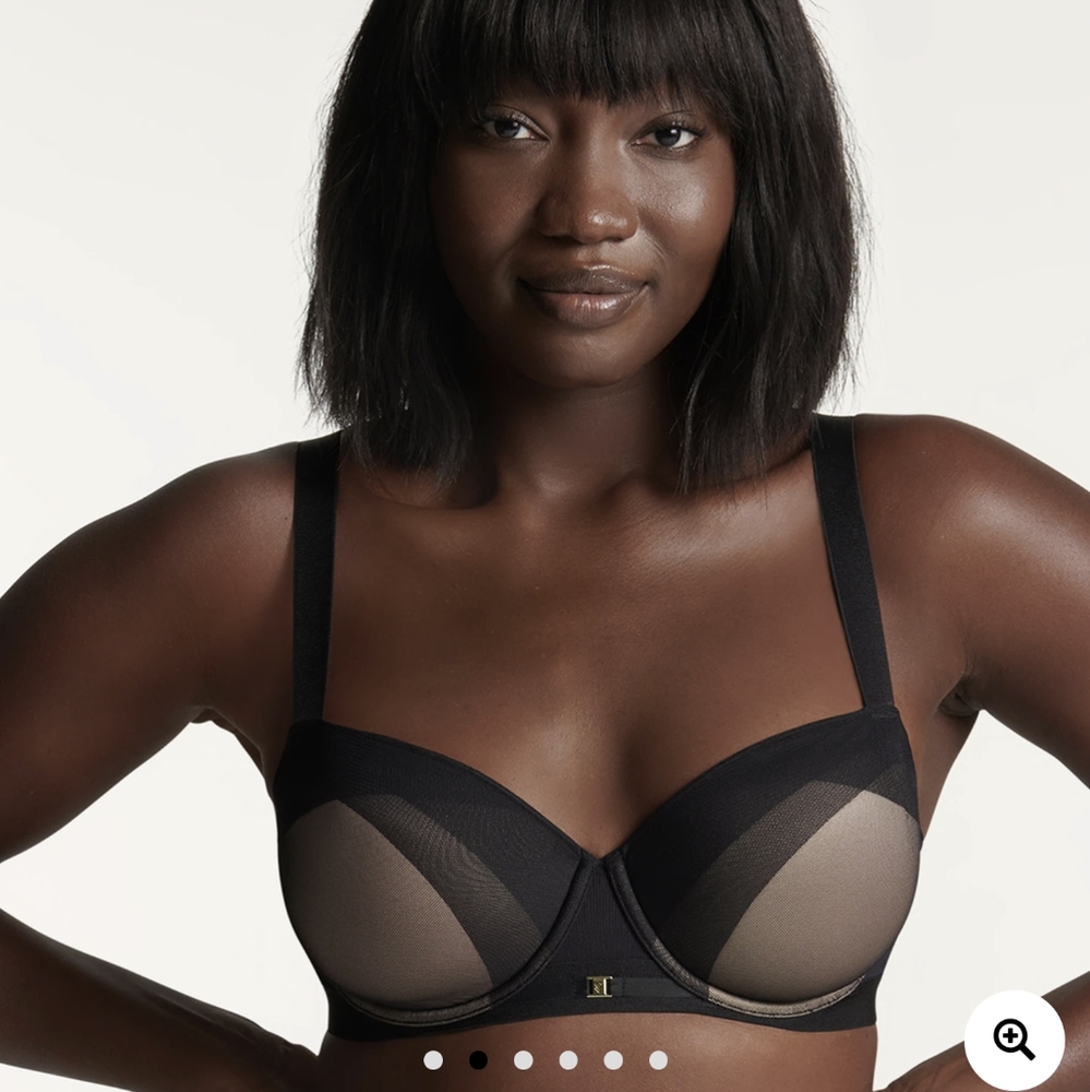 NEW Third Love Ombre Mesh Demi Bra